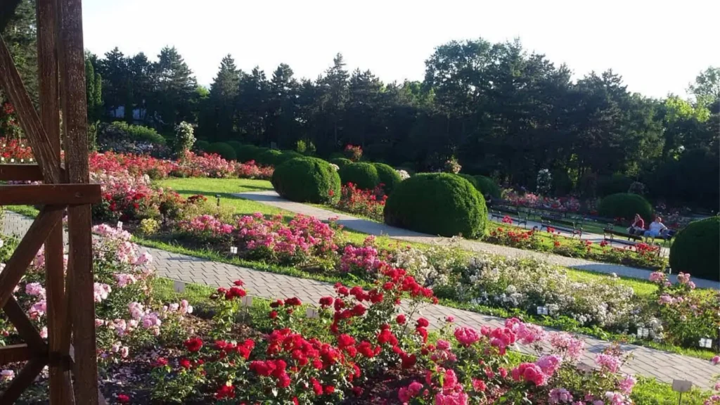 Imagine cu Grădina Botanică 'Anastasie Fătu' din Iași, prezentând alei verzi, diverse specii de plante și sere.