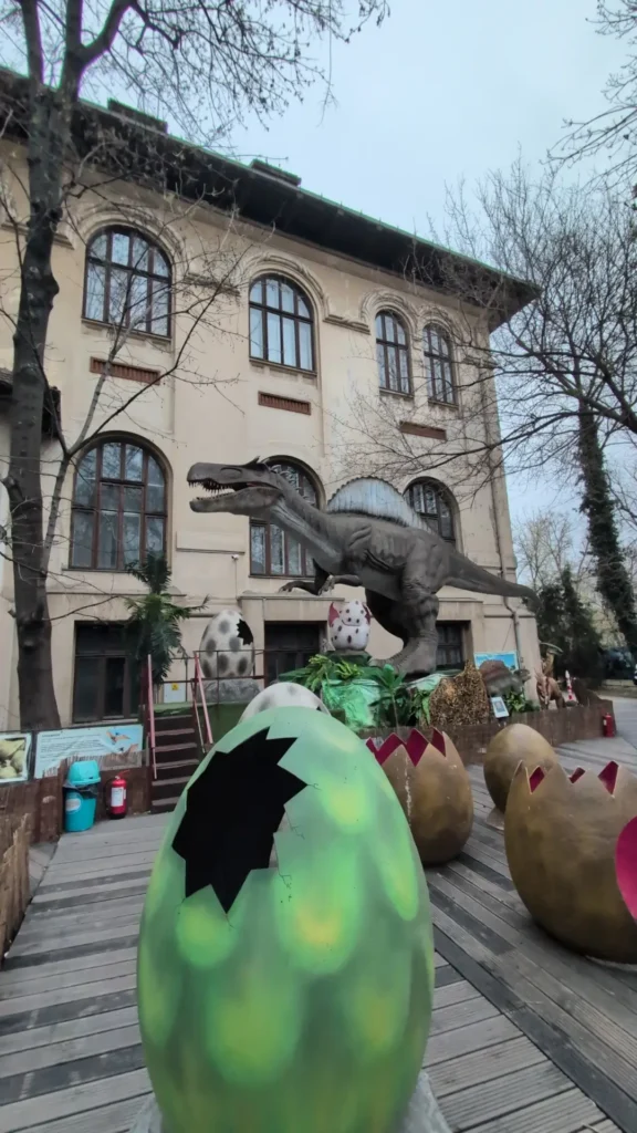 Multiple ouă de dinozaur de diferite dimensiuni în prim-plan, cu un dinozaur enorm în fundal, la Dino Park București.