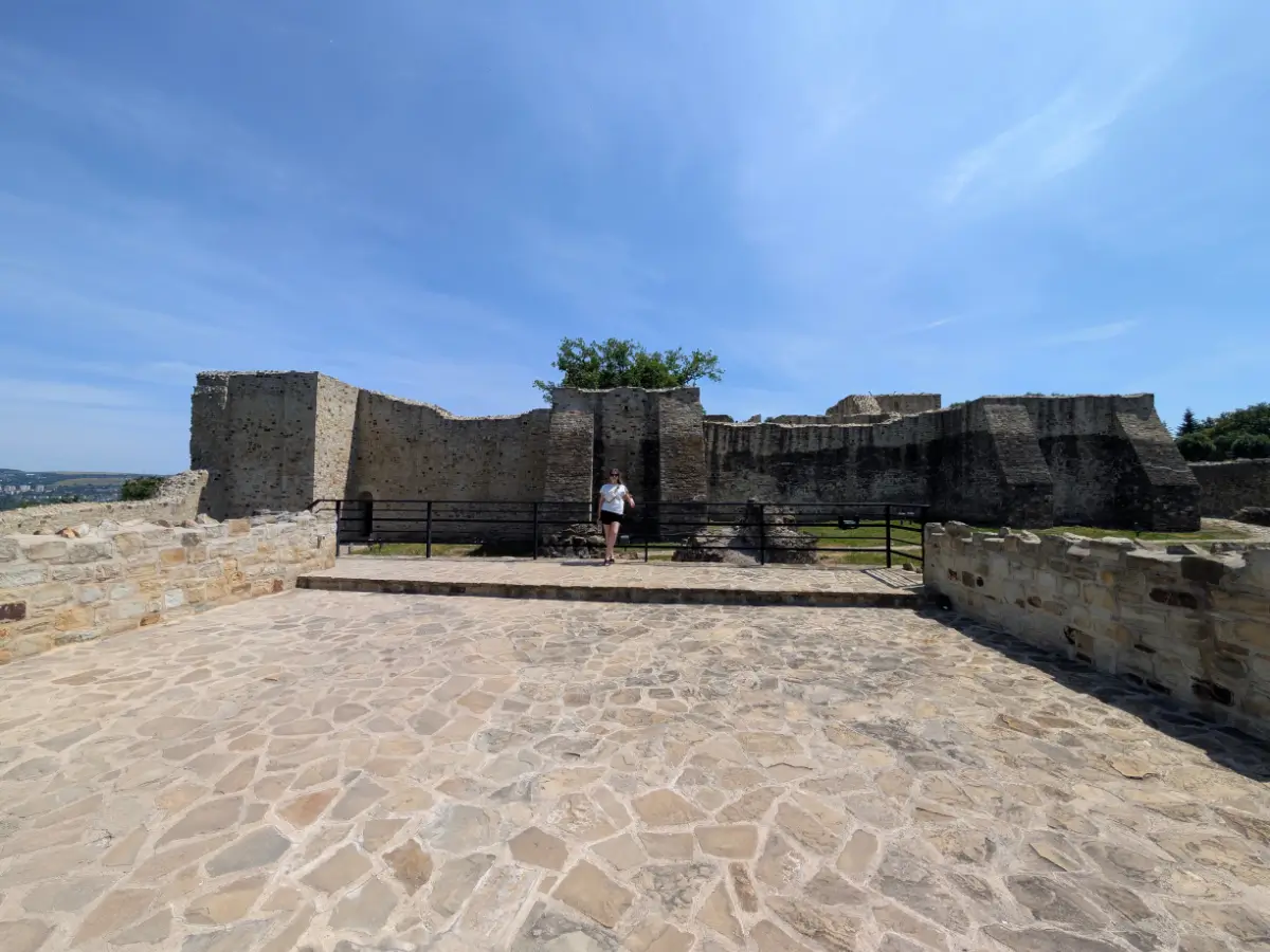 Panorama cu Cetatea de Scaun a Sucevei