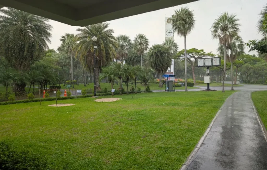 Parcul Chatuchak din Bangkok