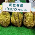 Durian Chinatown
