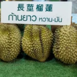 Durian Chinatown Bangkok Thailanda