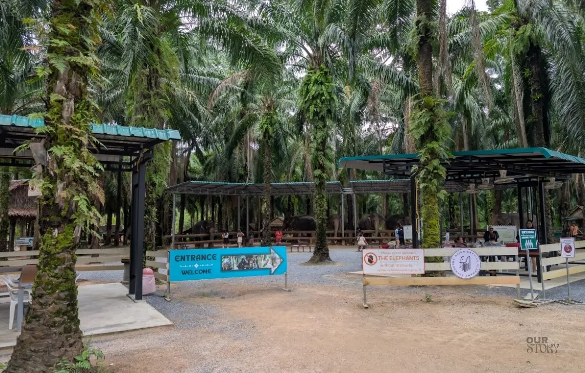 Krabi Elephant Shelter
