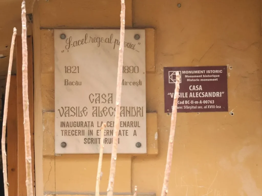 Casa Vasile Alecsandri Bacau parasita