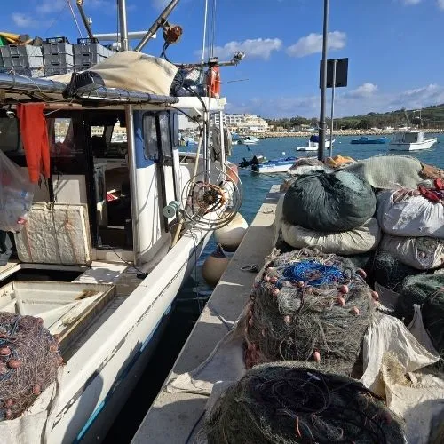 Bărci cu năvoade pescărești în portul MArsaxlokk