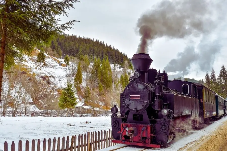 Mocănița de pe Valea Vaserului — trenul forestier cu aburi prin pădurea de munte, Vișeu de Sus Maramureș