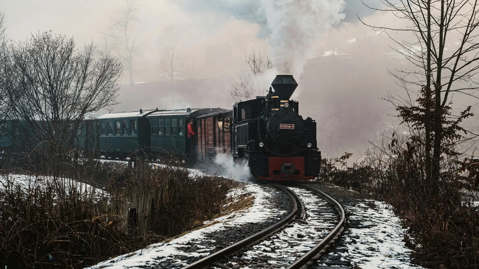 Obiective turistice Maramureș - Mocănița de pe Valea Vaserului — trenul forestier cu aburi în pădure întunecată, Maramureș