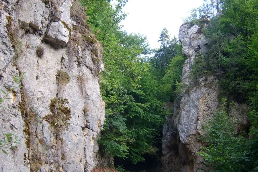 Pietrele lui Solomon din Brașov — defileu natural gratuit la capătul cartierului Șchei