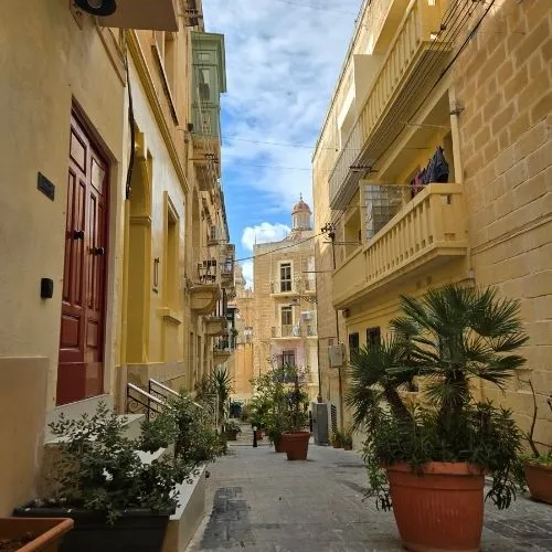 Stradă decorată cu flori în Valletta, capitala Maltei