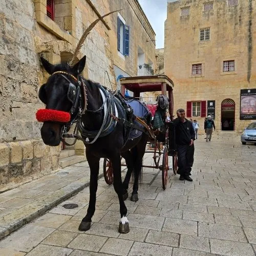 Trăsură tradițională pe străzile medievale din Mdina, Malta