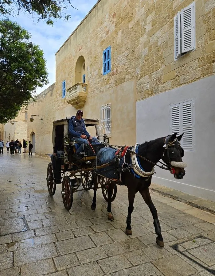 Trăsură trasă de cal pe caldarâmul din Mdina, Orașul Tăcerii Malta
