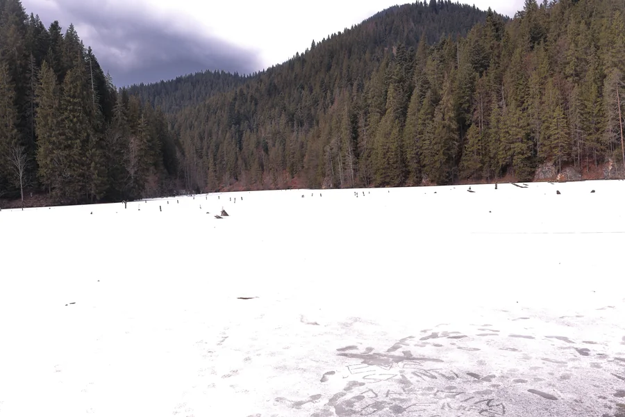 Lacul Roșu înghețat iarna în județul Neamț
cu trunchiurile de brad ieșind din apă —
peisaj unic în România