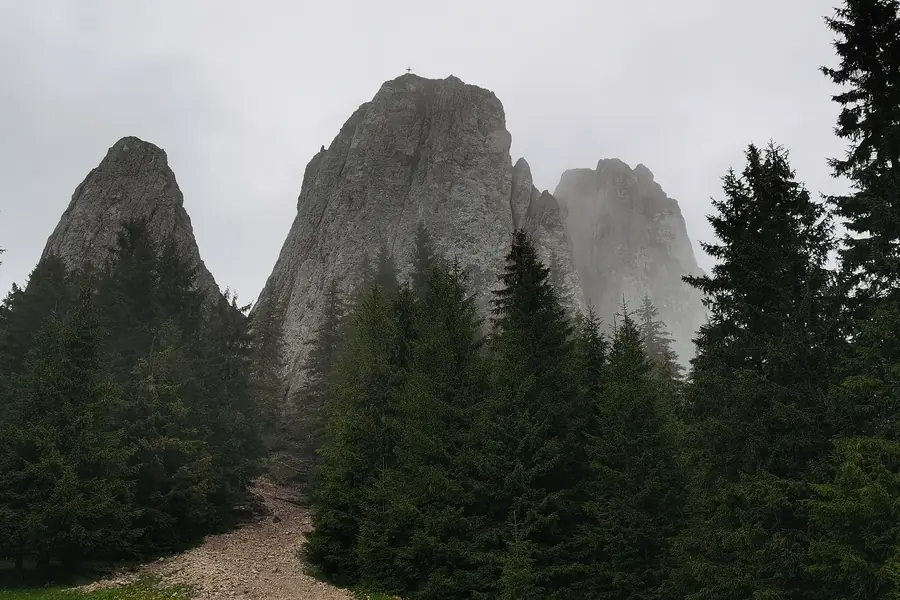 Drumul forestier spre punctul de plecare al traseului Piatra Singuratică din Bălan, județul Harghita — noroi și TAF-uri pe calea de acces