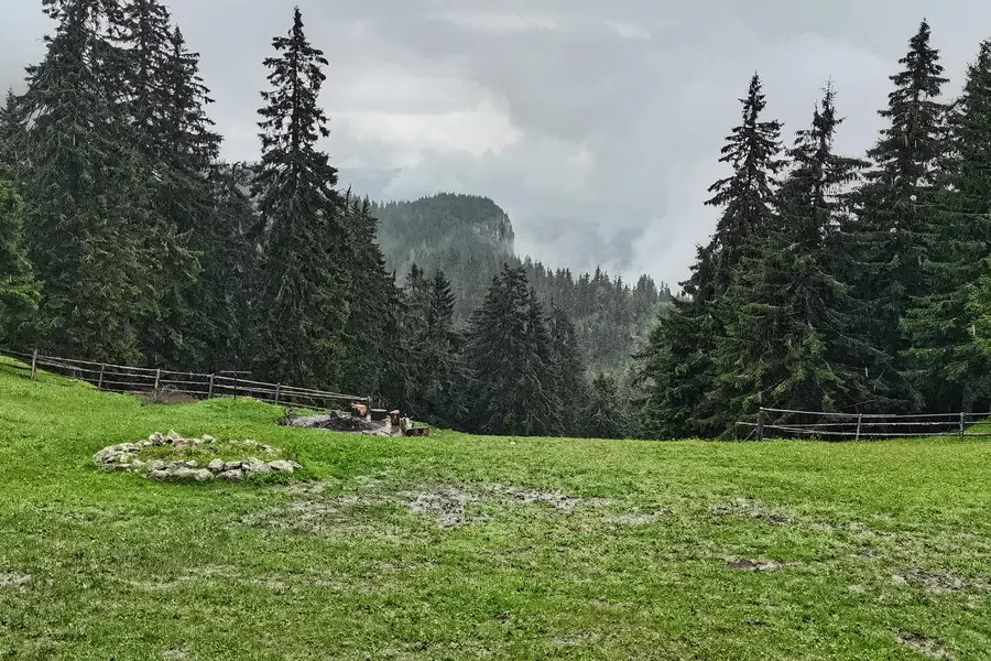 Priveliste pe Piatra Sînguratică