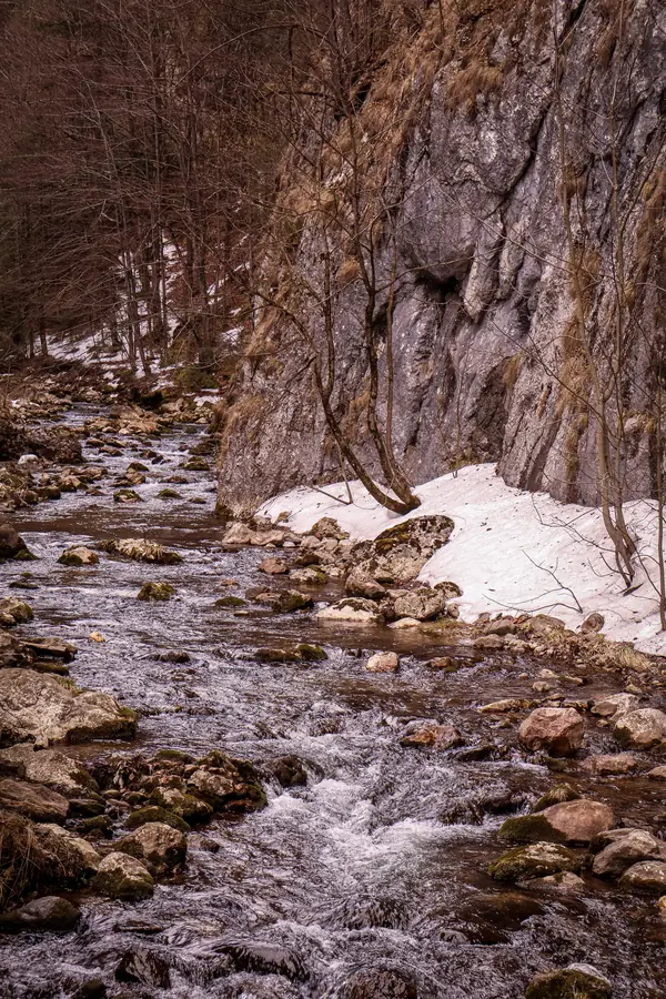 Rau de munte și stânci pe defileul Cheile Bicazului